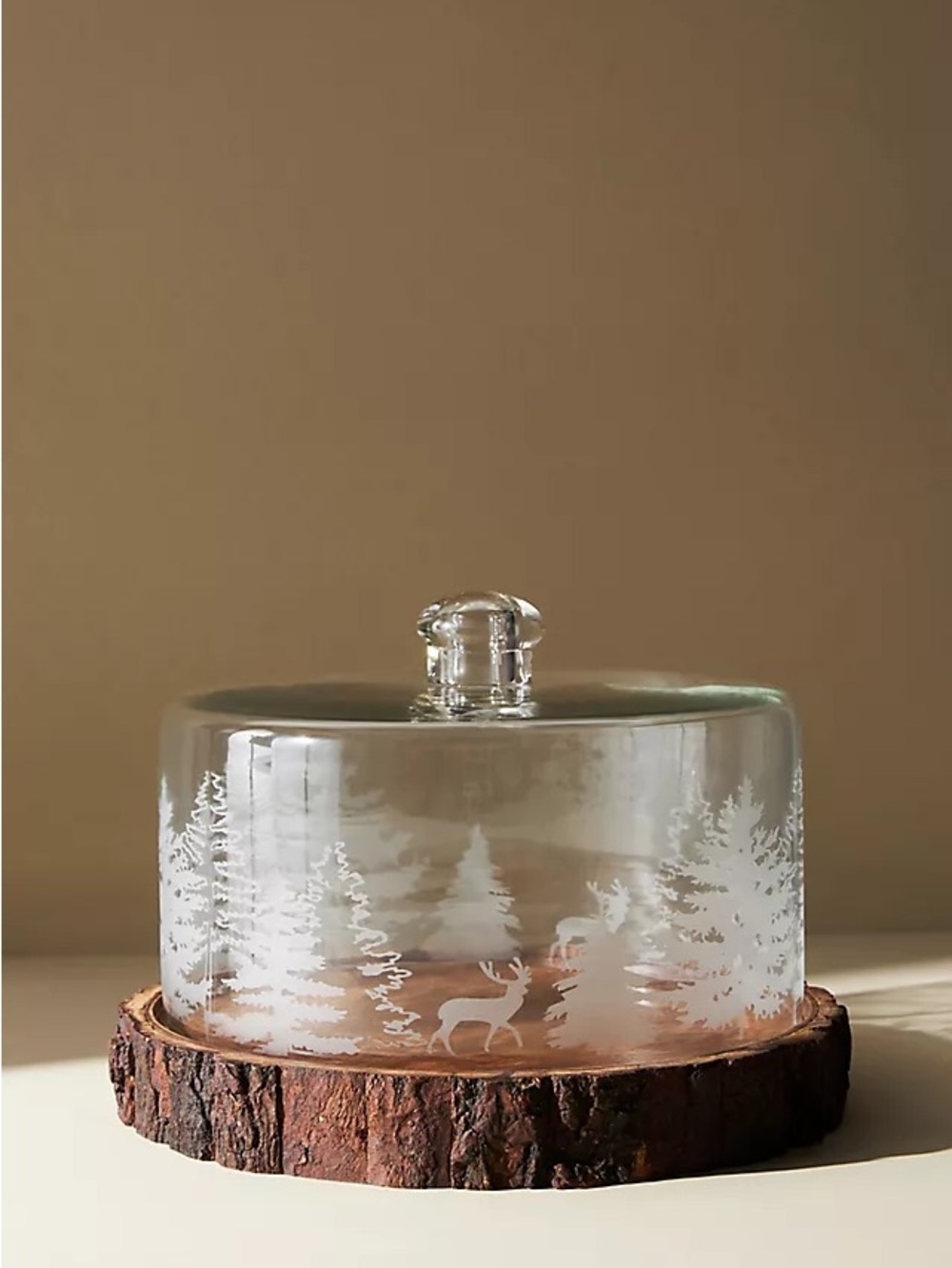 Anthropologie The Balsam Cloche SO PRETTY